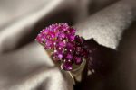 Afiya_Ring_2